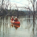 Flat Water Canoeing